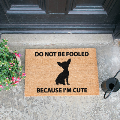 Chihuahua doormat