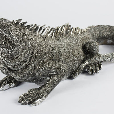 Iggy the Iguana